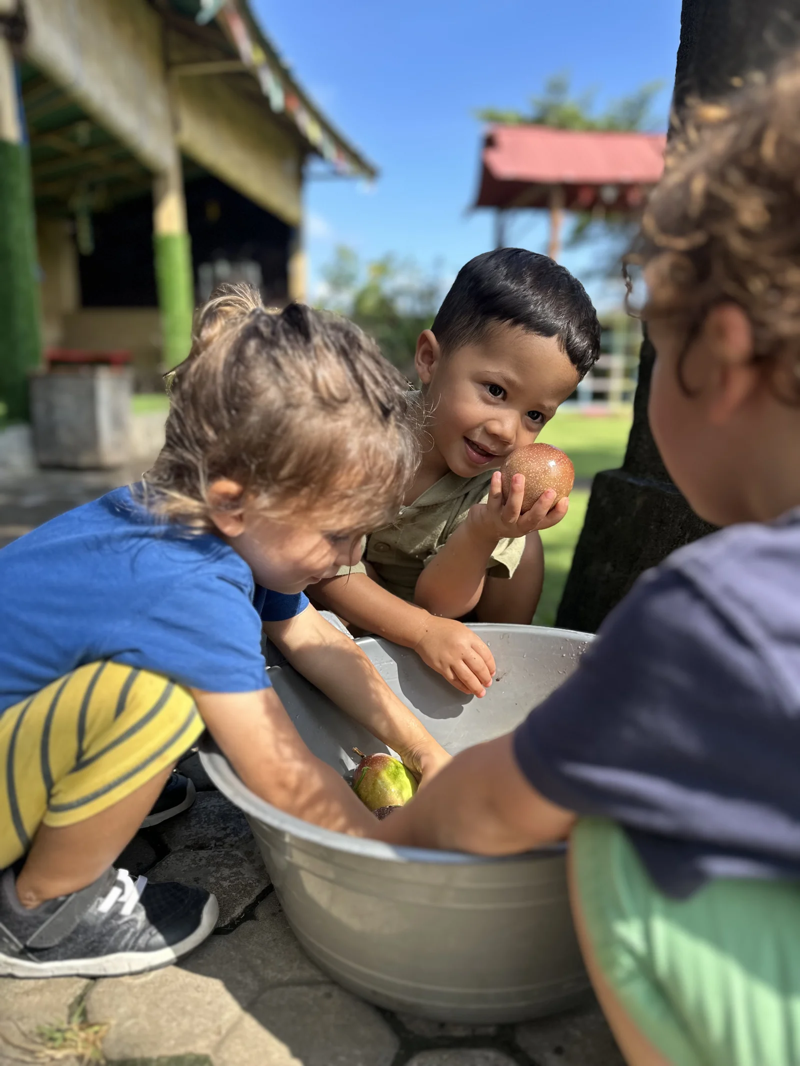 Sunny Kids Moment 76